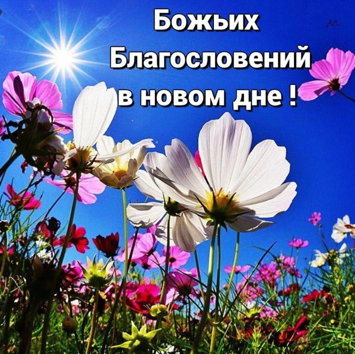 🌸✨🌸 С ДОБРЫМ АПРЕЛЬСКИМ УТРОМ 