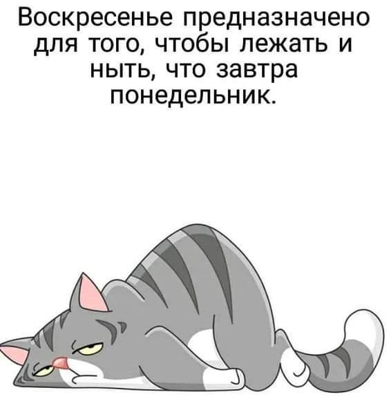 Котоматрица