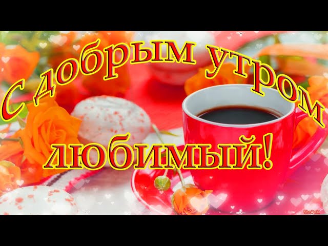 С ДОБРЫМ УТРОМ 5 Января!🌼Желаю Самого Доброго Солнечного 