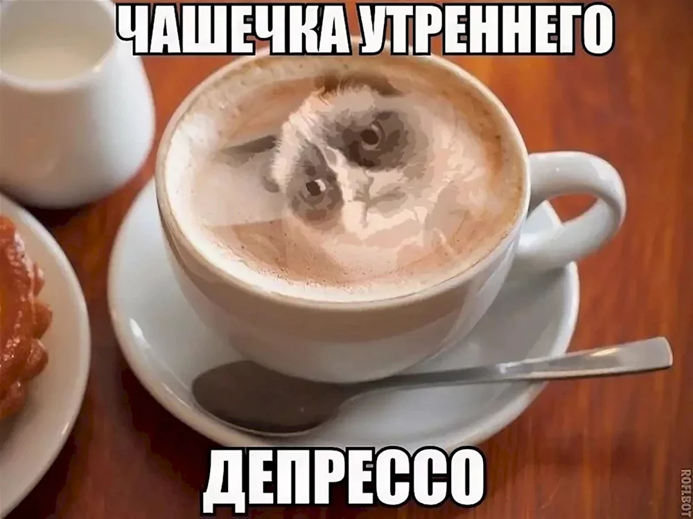 Всё, что нужно знать о кофе 