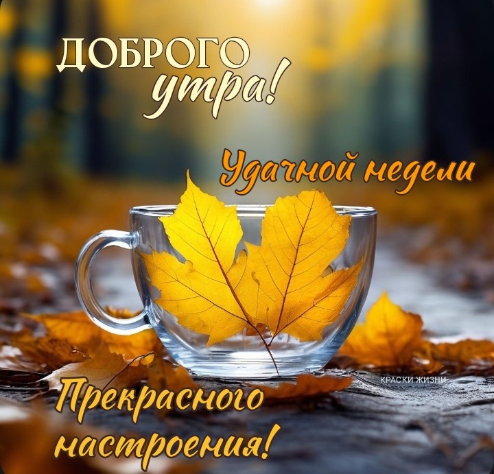 Прикольные картинки Доброе утро 👍 😄