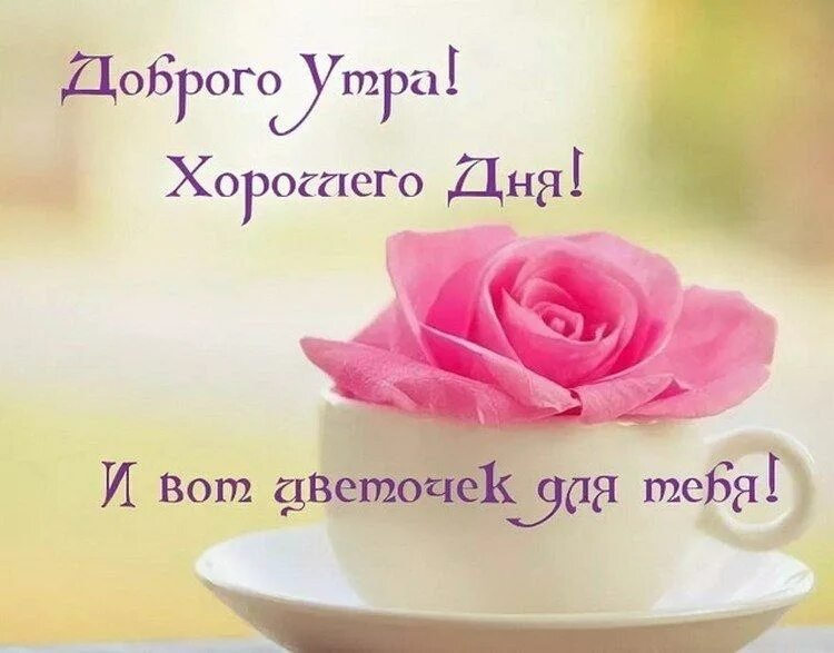 💌☀️😄 Картинки Хорошего дня