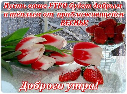 Доброе весеннее утро