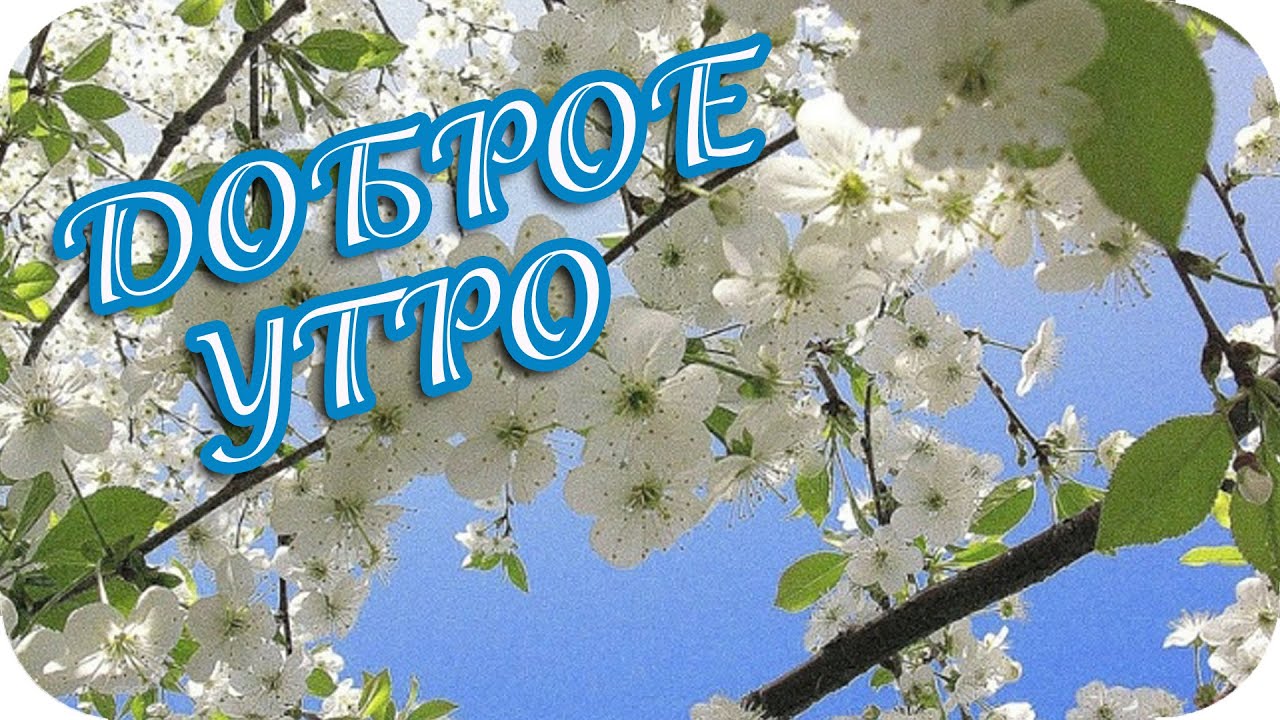 Открытки с Добром Утром