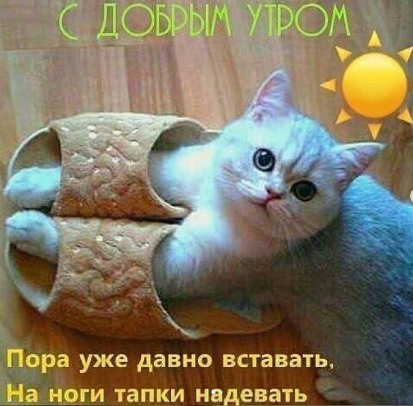 Прикольные картинки Доброе утро 👍 😄