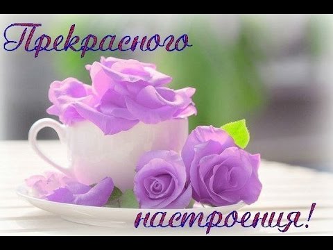 🌺 Отличного настроения на весь день! 