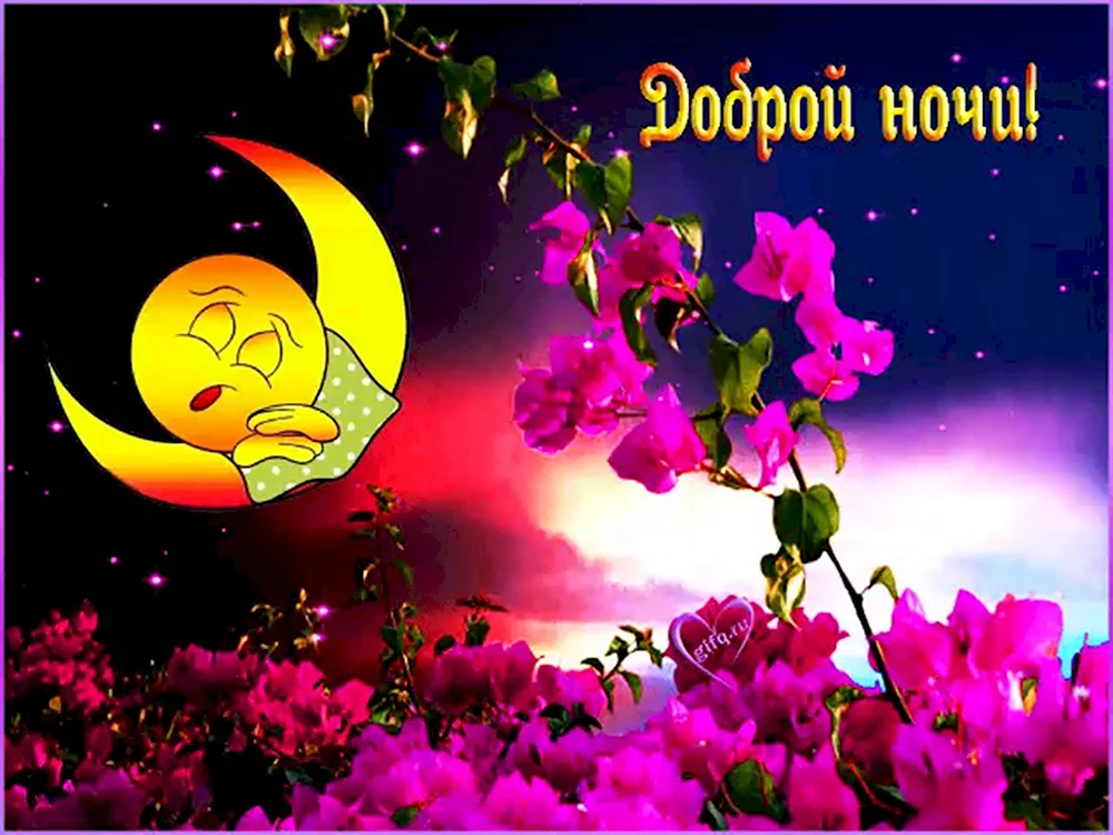 Доброй ночи!✨💫✨💫✨💫✨💫✨💫 Светлого завтра 