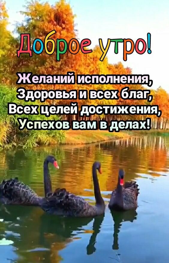 Доброго Зимнего Утра Божьего 