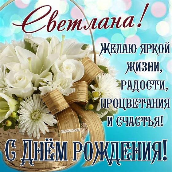 🌺💞🌹ЦВЕТЫ И РОЗЫ У СВЕТЛАНЫ🌺💞🌹