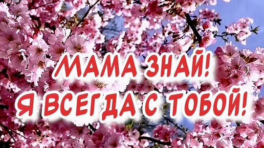 Музыкальные картинки с Днем рождения Мама анимация Открытки с 