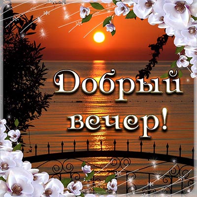 Good Evening Добрый вечер 