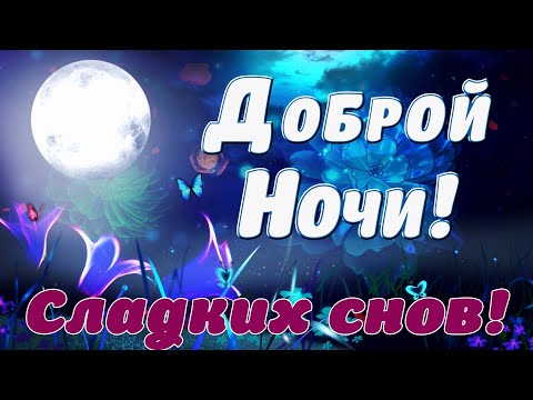 Спокойной ночи, сладких снов