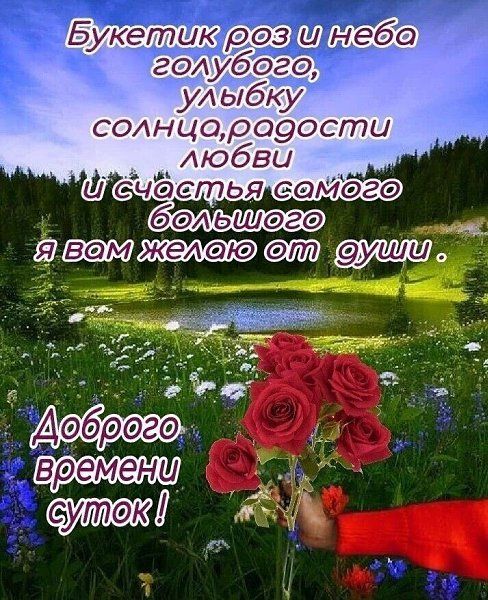 спокойной ночи