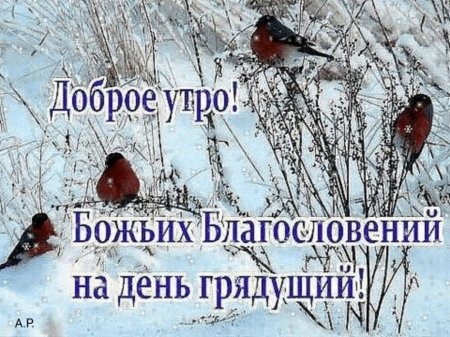 Благослови, Господь, меня На утро нынешнего дня, На первый 