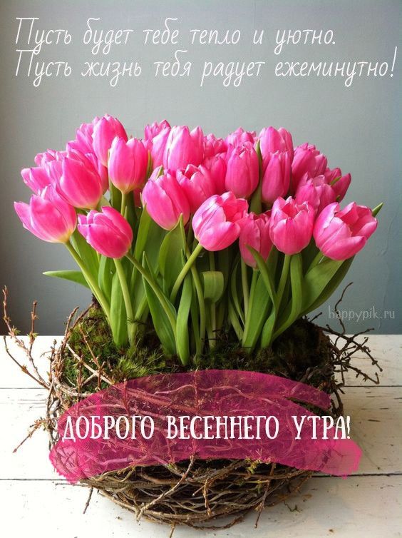 УРА ВЕСНА 🌸С Первым Днём Весны🌸С Добрым 