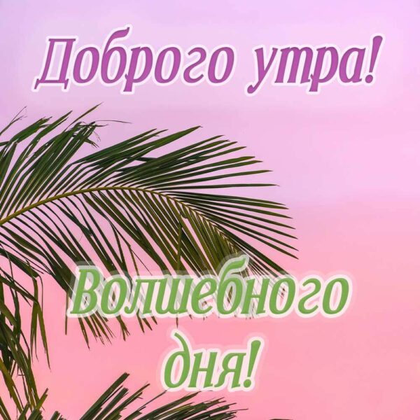 Доброе утро