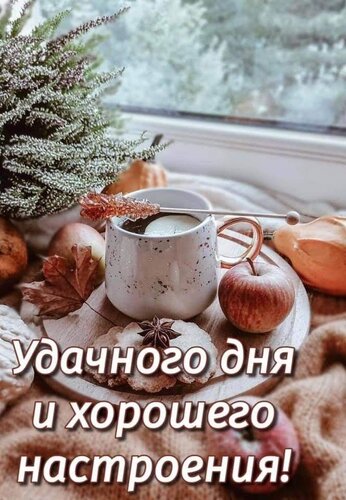 Доброго дня!😍💚 