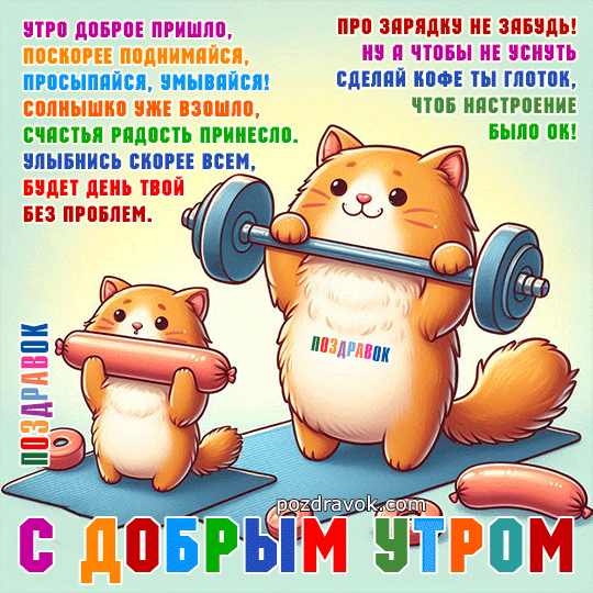 Прикольные и смешные гифки 