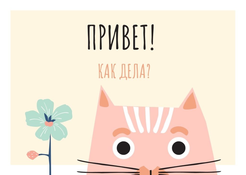 Котоматрица