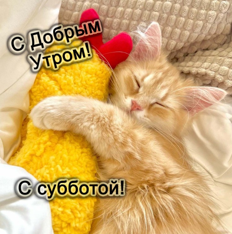 ДоброеУтро #хорошегодня #суббота #выходные #7сентября #осень 