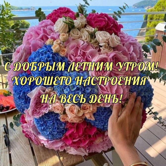 Доброе утро друзья! С началом новой недели! Прекрасного 