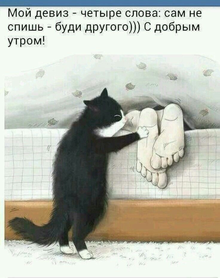 СЦБИСТ