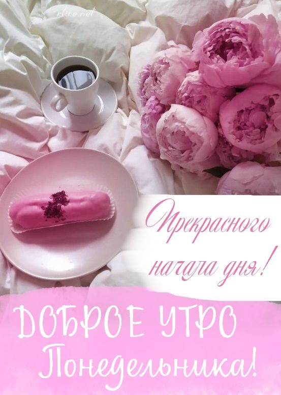 Желаем доброго начала новой недели!