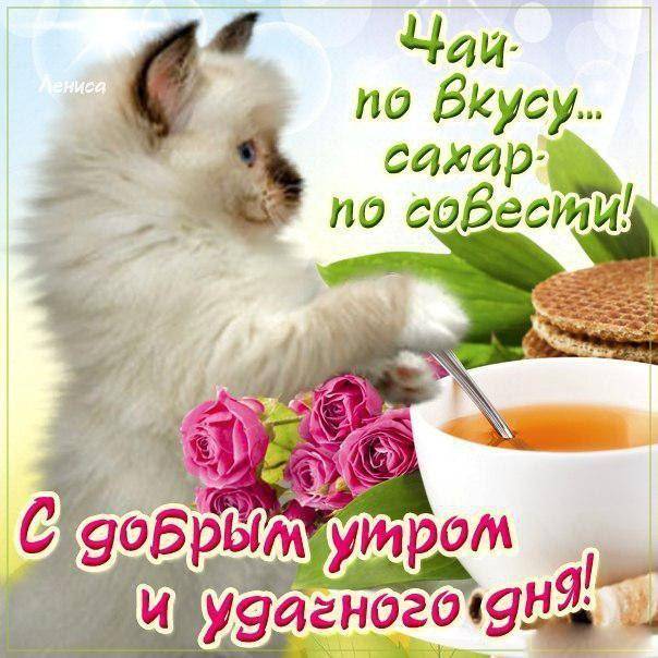 💗☕️Доброе Утро! Хорошего Дня!🌷Для Друзей! Заряд Позитива 