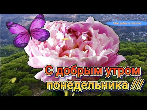 Картинки Красивые С Понедельником С 