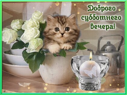 всем#прекрасного#субботнего#вечера 