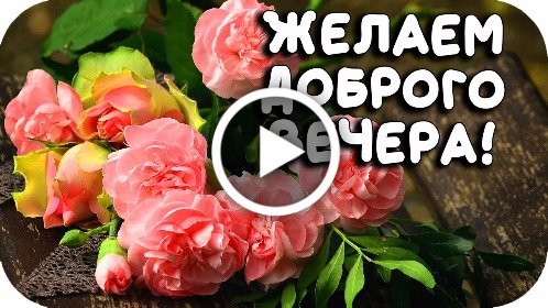 Добрый вечер ! Доброго Приятного вечера! Красивое пожелание 