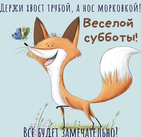 Добрый всем субботний привет!!! 