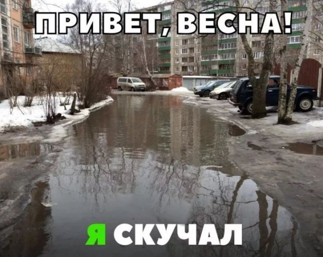 Прикольные картинки Скорее бы весна с 