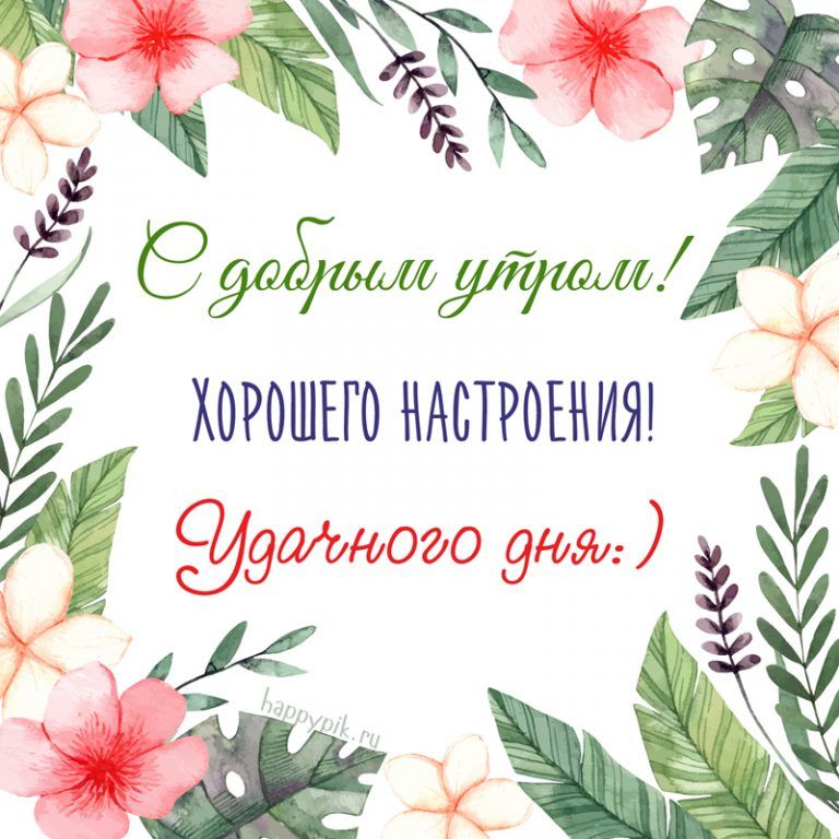 Отличного дня открытка 1016 