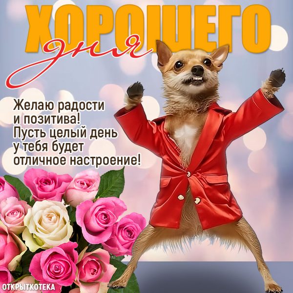 Отличного настроения! Хорошего дня 