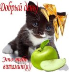 С Добрым Утром! Лови Для Настроения 