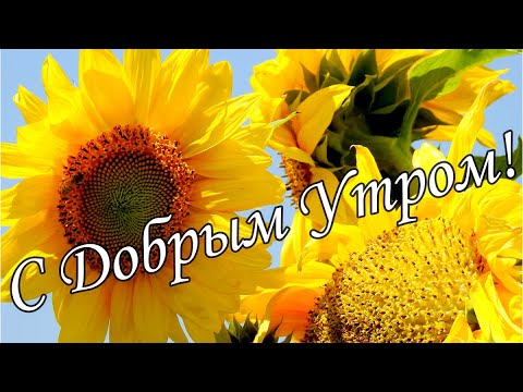 С ДОБРЫМ УТРОМ, ЛЮБИМЫЕ ДРУЗЬЯ! 🧸 картинки красивые с 