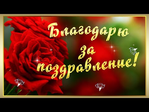 Спасибо за поздравления и пожелания, в 