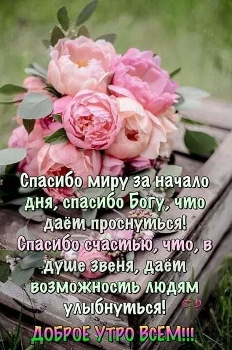 🌸✨🌸 С ДОБРЫМ МАЙСКИМ УТРОМ 🌸✨🌸 Мaйскoe 