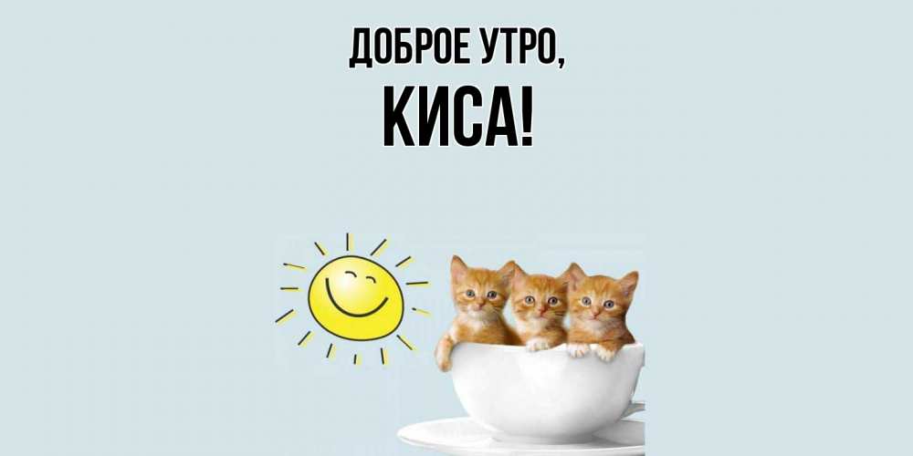 Доброе утро с котиками