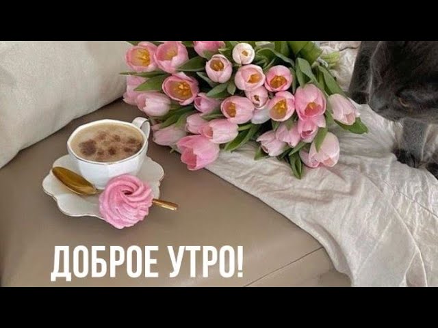 Доброе Утро Радость Души Моей Начни Этот День С Любви Я Дарю 