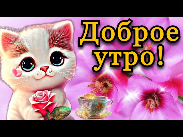 Доброе утро друзья! 😃 Сегодня 9 февраля! 🔥🔥🔥 Итак 9 числа 