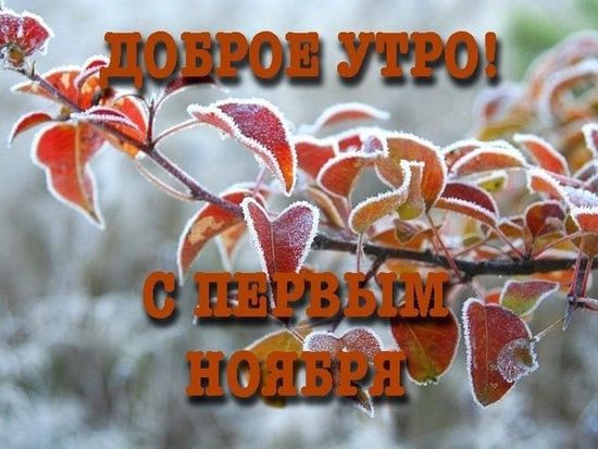 Доброе утро 