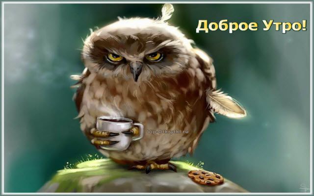 Доброе утро ☕! Я сегодня выспалась наконец-то! У нас 