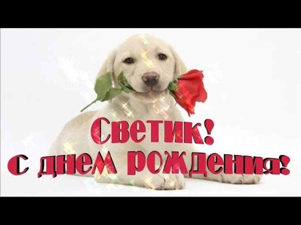 Светик,с Днём Рождения!