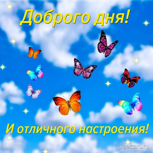 ВСЕМ ХОРОШЕГО ДНЯ И ОТЛИЧНОГО НАСТРОЕНИЯ!🤗