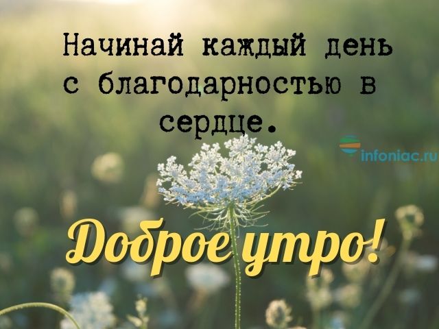 Счастливое утро