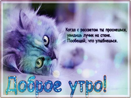 Открытки с котятами доброе утро