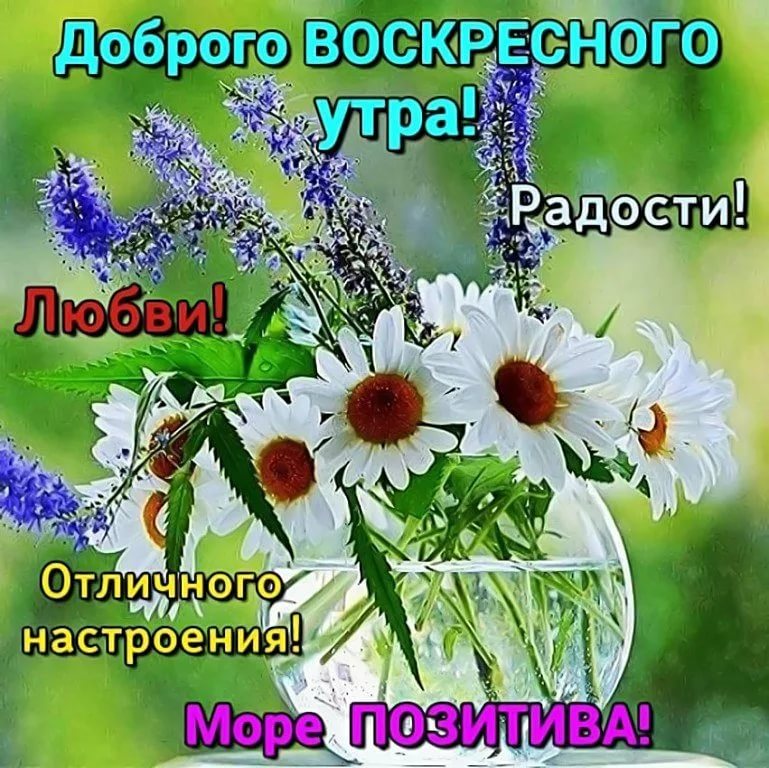 Летнее воскресное утро