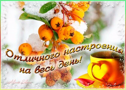 🌹Доброго Дня Отличного Настроения! Открытки Добрый День 